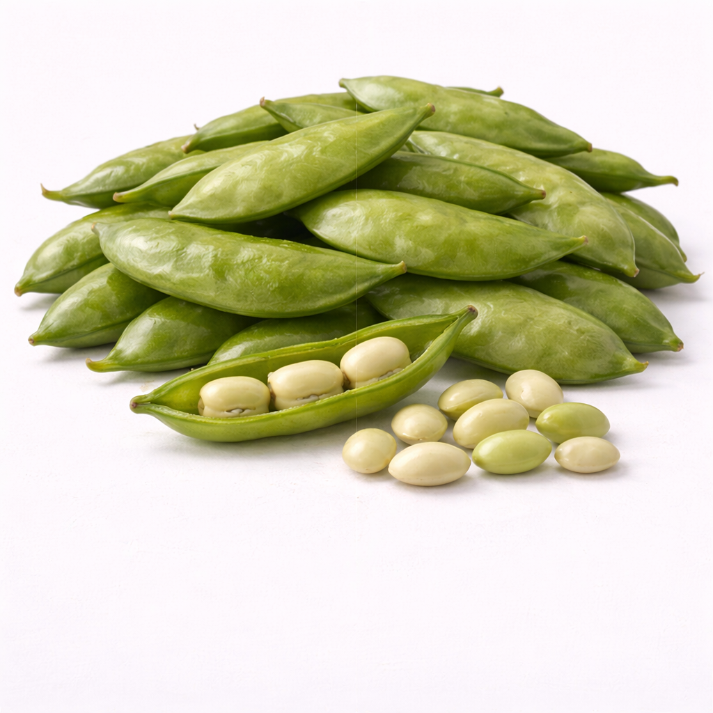 ભારતીય કઠોળ(સીવણ)