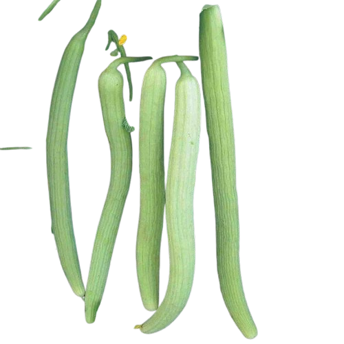 Long Melon(Kakri)