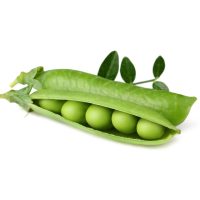 વટાણાની શીંગ