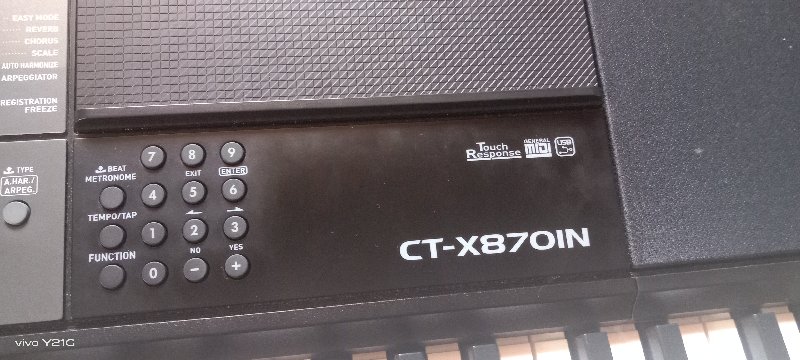 Casio keyboard...